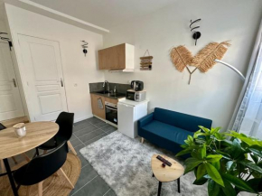 superbe appartement centre de Vichy